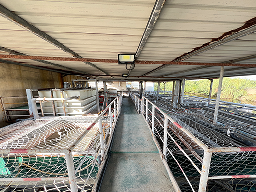 陽極廠污水處理